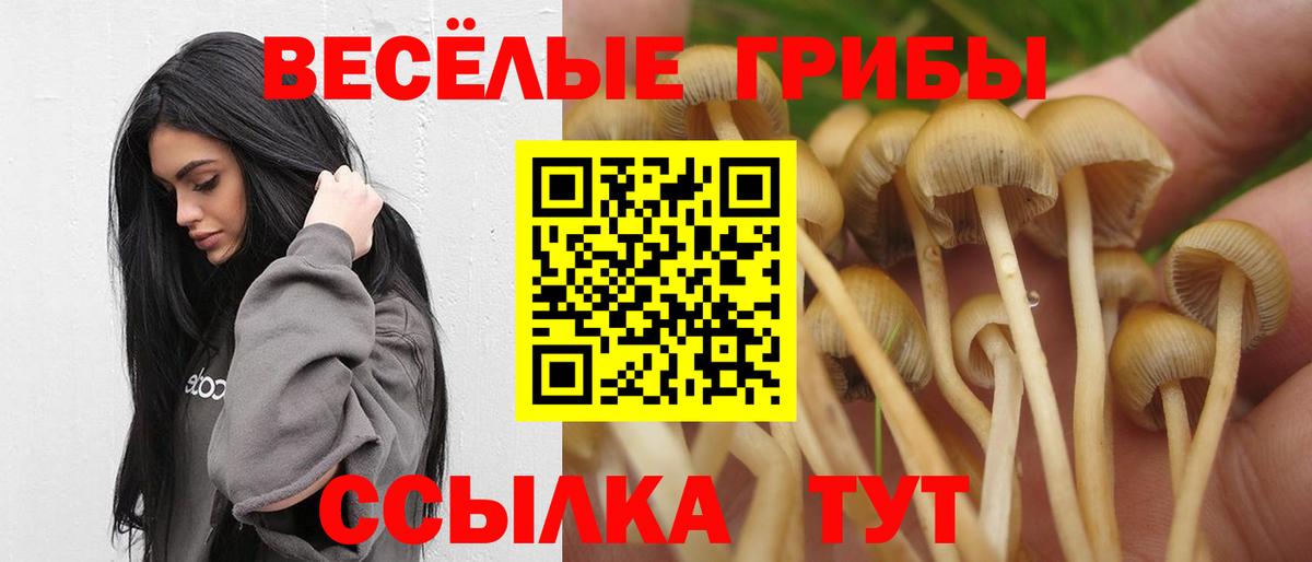 Майский  как найти наркотики  Вход с VPN  Галлюциногенные грибы Psilocybine cubensis 